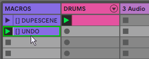 duplicate a scene with advanced macros